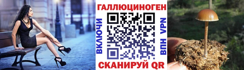 Псилоцибиновые грибы прущие грибы  Дзержинский 